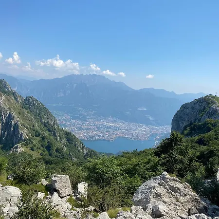 La Coccinella *